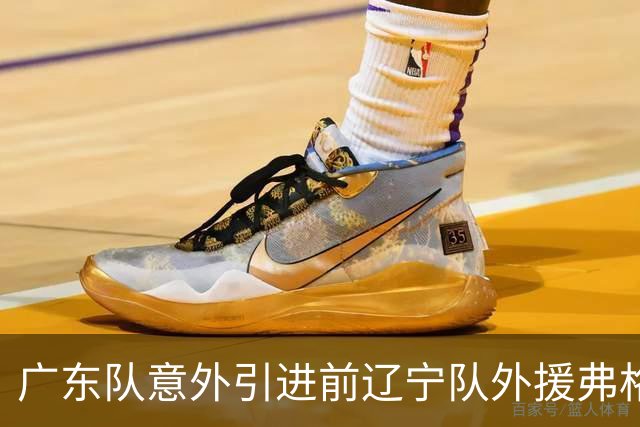 广东队意外引进前辽宁队外援弗格